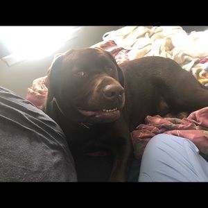 Meet your Posher, Tristan